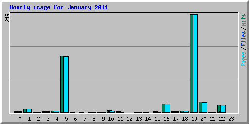 Hourly usage for January 2011