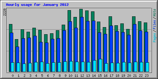 Hourly usage for January 2012