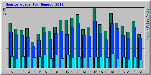 Hourly usage for August 2012