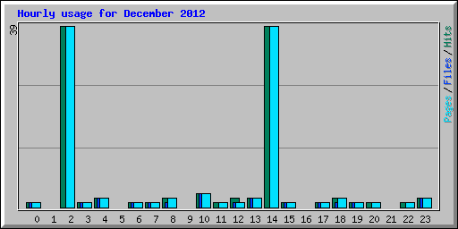 Hourly usage for December 2012