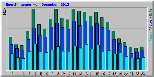 Hourly usage for December 2012
